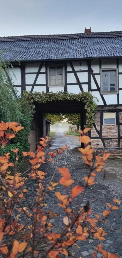 צולפיך Ferienhaus Q1, Ruhe Und Erholung In Der Eifel מראה חיצוני תמונה
